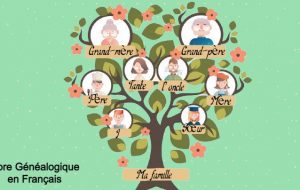Como hacer un árbol genealógico en Frances
