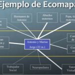 ¿Qué es un Ecomapa?
